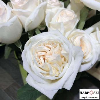 Принцесса Миюки | Princess Miyuki (Японская) (Осень 2026)