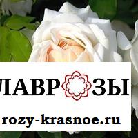 Космос / Rose Kosmos